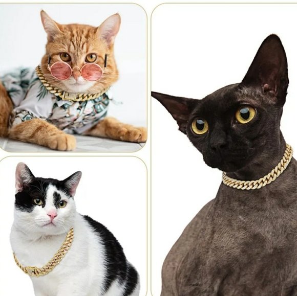 Glam dog collar - Picture 7 of 17